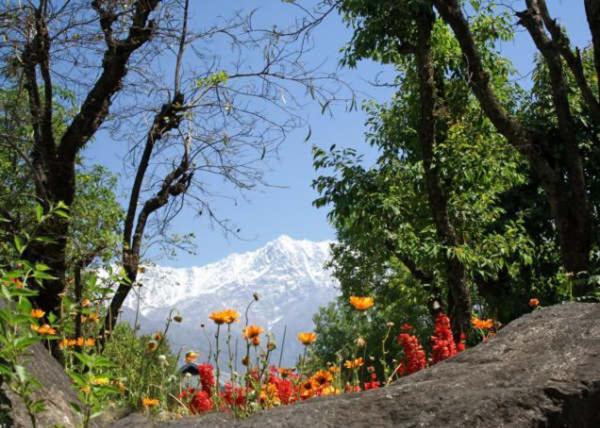 Mountain Villa Mcleodganj Dharamsala Zewnętrze zdjęcie